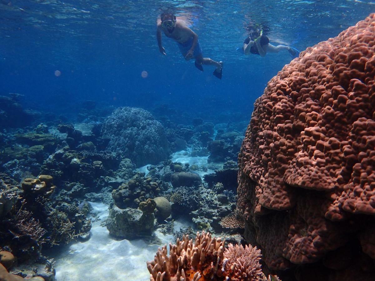 Blue Coral Homestay Karimunjawa-Inseln Exterior foto
