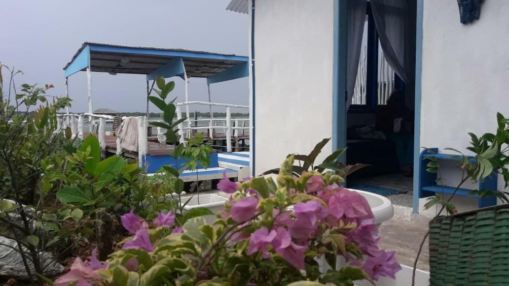 Blue Coral Homestay Karimunjawa-Inseln Exterior foto